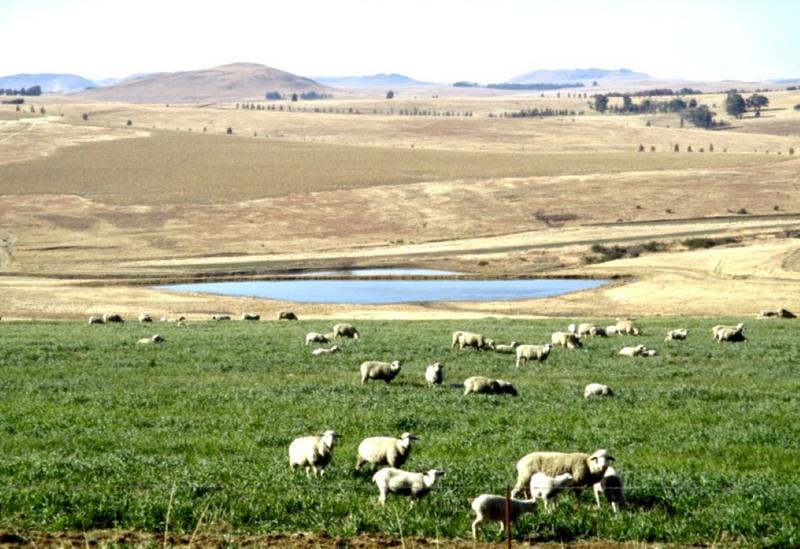0 Bedroom Property for Sale in Harrismith Free State